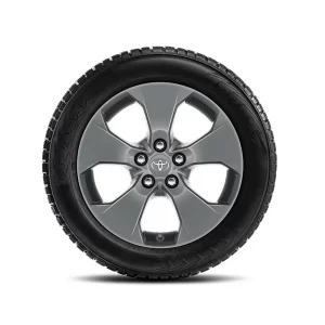 rav4 ziemas riepas